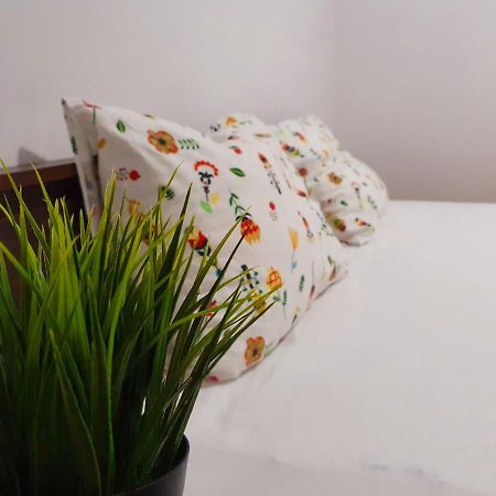 Pensiunea Casa Blanca 술리나 외부 사진